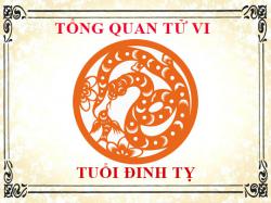 Tử vi tuổi Đinh Tỵ: Tổng quan về vận mệnh, tình yêu, sự nghiệp