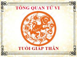 Tử vi tuổi Giáp Thân 2004 Tổng quan về vận mệnh, tình yêu, sự nghiệp