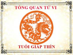 Tử vi tuổi Giáp Thìn 1964: Tổng quan về vận mệnh, tình yêu, sự nghiệp