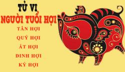 Tử vi tuổi Hợi: Tổng quan vận mệnh và cuộc đời