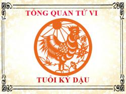 Tử vi tuổi Kỷ Dậu 1969: Tổng quan về vận mệnh, tình yêu, sự nghiệp