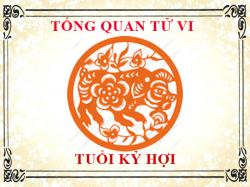 Tử vi tuổi Kỷ Hợi 2019: Tổng quan về vận mệnh, tình yêu, sự nghiệp