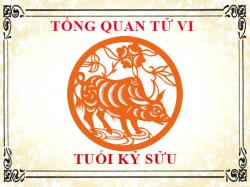 Tử vi tuổi Kỷ Sửu 2009: Tổng quan về vận mệnh, tình yêu, sự nghiệp