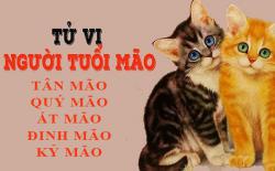 Tử vi tuổi Mão: Tổng quan vận mệnh và cuộc đời