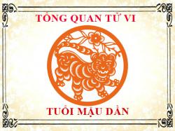Tử vi tuổi Mậu Dần 1998: Tổng quan về vận mệnh, tình yêu, sự nghiệp