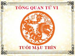 Tử vi tuổi Mậu Thìn 1988: Tổng quan về vận mệnh, tình yêu, sự nghiệp