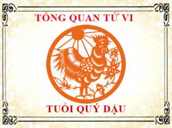 Tử vi tuổi Quý Dậu 1993: Tổng quan về vận mệnh, tình yêu, sự nghiệp