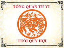 Tử vi tuổi Quý Hợi: Tổng quan về vận mệnh, tình yêu, sự nghiệp