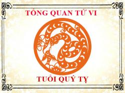 Tử vi tuổi Quý Tỵ 2013: Tổng quan về vận mệnh, tình yêu, sự nghiệp