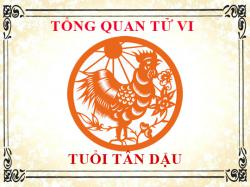 Tử vi tuổi Tân Dậu: Tổng quan về vận mệnh, tình yêu, sự nghiệp