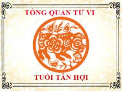 Tử vi tuổi Tân Hợi: Tổng quan về vận mệnh, tình yêu, sự nghiệp
