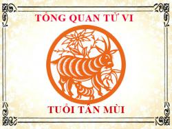 Tử vi tuổi Tân Mùi 1991: Tổng quan về vận mệnh, tình yêu, sự nghiệp