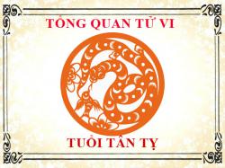 Tử vi tuổi Tân Tỵ 2001: Tổng quan về vận mệnh, tình yêu, sự nghiệp