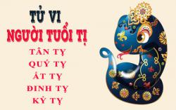 Tử vi tuổi Tị: Tổng quan vận mệnh và cuộc đời