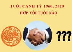 Tuổi Canh Tý hợp với tuổi nào?