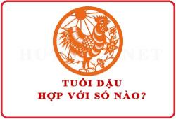 Tuổi Dậu hợp với số nào theo phong thuỷ