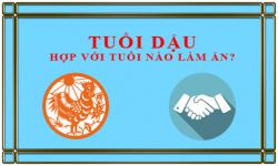 Tuổi Dậu kết hợp làm ăn với tuổi nào để thành công