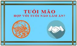 Tuổi Mão kết hợp làm ăn với tuổi nào để thành công