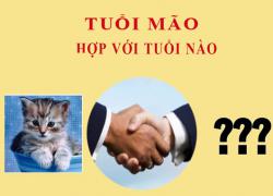 Tuổi Mão hợp với tuổi nào?