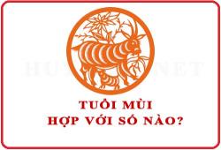 Tuổi Mùi hợp với số nào theo phong thuỷ