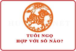 Tuổi Ngọ hợp với số nào theo phong thuỷ