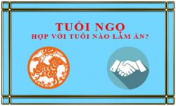 Tuổi Ngọ kết hợp làm ăn với tuổi nào để thành công