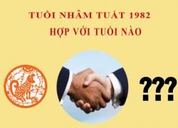 Sinh năm 1982 Nhâm Tuất hợp với tuổi nào?