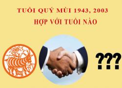 Sinh năm 2003 Quý Mùi hợp với tuổi nào?