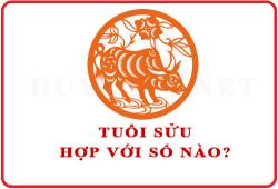 Tuổi Sửu hợp với số nào theo phong thuỷ