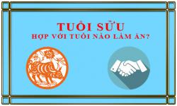 Tuổi Sửu kết hợp làm ăn với tuổi nào để thành công