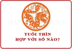 Tuổi Thìn hợp với số nào theo phong thuỷ