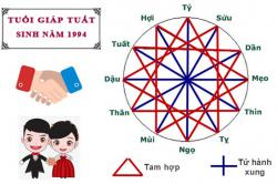 Tuổi Giáp Tuất hợp với tuổi nào trong làm ăn, tình yêu và hôn nhân