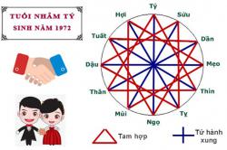 Tuổi Nhâm Tý hợp với tuổi nào trong làm ăn, tình yêu và hôn nhân