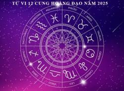 Xem tử vi 12 cung hoàng đạo năm 2025 chi tiết nhất