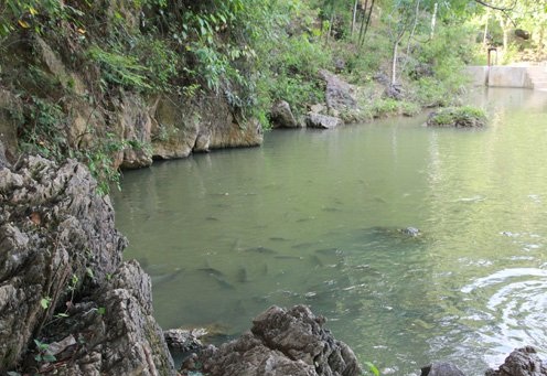 Bí ẩn về cặp 