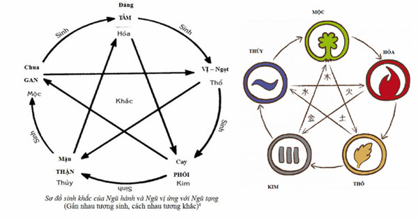 Học thuyết Ngũ hành
