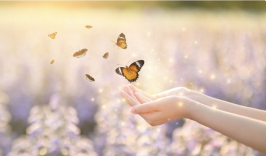 Năng lượng của bạn hấp dẫn những người giống bạn