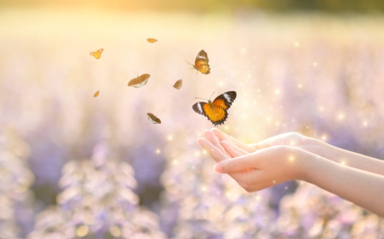 Tâm sáng như gương, buông chấp trước mới có thể giải thoát